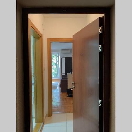 Renovated Cozy Studio 7 At Top Location - Available For Long Term Rentals Novi Sad Exteriör bild