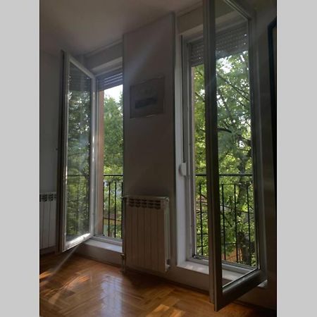 Renovated Cozy Studio 7 At Top Location - Available For Long Term Rentals Novi Sad Exteriör bild