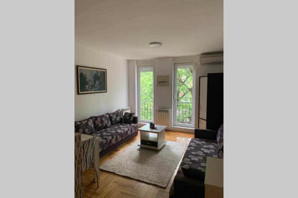 Renovated Cozy Studio 7 At Top Location - Available For Long Term Rentals Novi Sad Exteriör bild